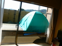 P1020444.JPG