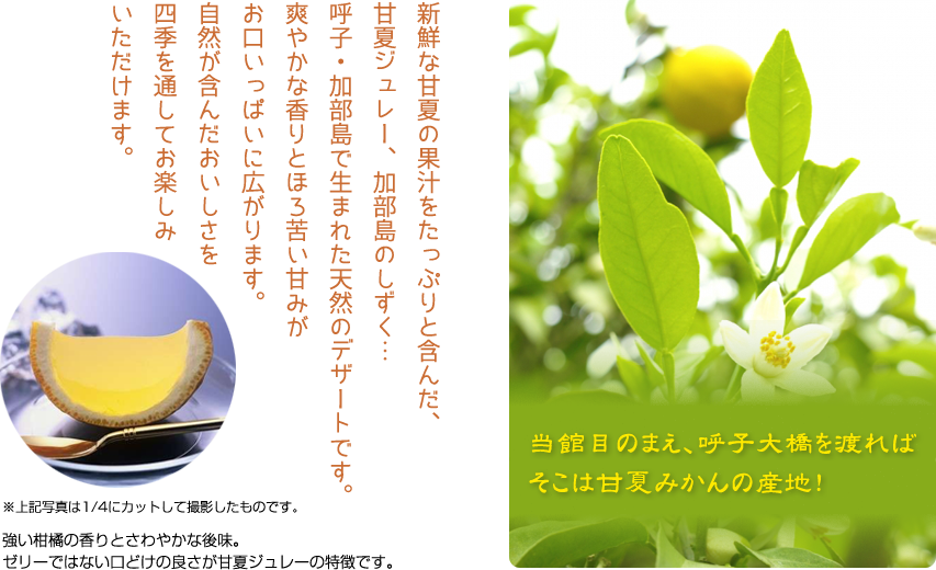 強い柑橘の香りとさわやかな後味。ゼリーではない口どけの良さが甘夏ジュレーの特徴です。