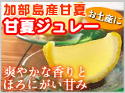 楽天ショッピング